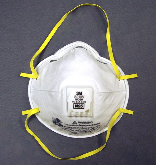 Filtered Safety Dust Mask